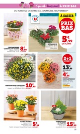 Chrysanthèmes Angebote im Prospekt "U Express" von U Express Chrysanthèmes Angebote im Prospekt "U Express" von U Express auf Seite 25