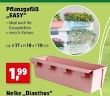 Pflanzgefäß "EASY" im Angebot bei Thomas Philipps in Bergheim Pflanzgefäß "EASY" Angebote bei Thomas Philipps Bergheim für 1,99 €