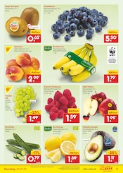 Äpfel im Netto Marken-Discount Prospekt in Langenfeld Aktueller Netto Marken-Discount Prospekt mit Äpfel, "Aktuelle Angebote", Seite 5