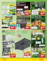 Dekoration Angebot im aktuellen Netto Marken-Discount Prospekt auf Seite 35