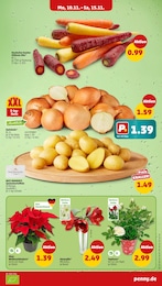 Pflanzen Angebot & Preis im aktuellen Penny Prospekt Pflanzen Angebot im aktuellen Penny Prospekt auf Seite 3