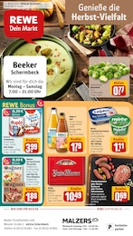 REWE Prospekt "Dein Markt", 32 Seiten, 20.10.2025 - 20.10.2025 Aktueller REWE Prospekt, "Dein Markt", mit Angeboten der Woche, gültig von 20.10.2025 bis 20.10.2025