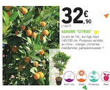 Promo AGRUME "CITRUS" à 32,90 € dans le catalogue E.Leclerc à Pléneuf-Val-André