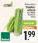 Stauden Sellerie im Angebot bei E center in Brühl Stauden Sellerie Angebote von Bioland bei E center Brühl für 1,99 €