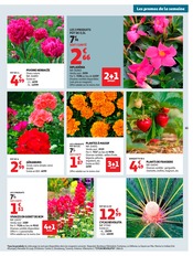 Promos Géranium dans le catalogue "25 JOURS AUCHAN" de Auchan Hypermarché Géranium en promo dans le catalogue Auchan Hypermarché à la page 63