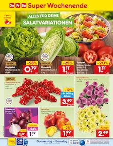 Blumen im aktuellen Netto Marken-Discount Prospekt (Karlsruhe) Blumen im Netto Marken-Discount Prospekt "Aktuelle Angebote" mit 64 Seiten (Karlsruhe)