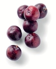 Supermarchés Match Bischheim - Promo Prune Rouge Promo Prune Rouge à 2,99 € dans le catalogue Supermarchés Match à Bischheim