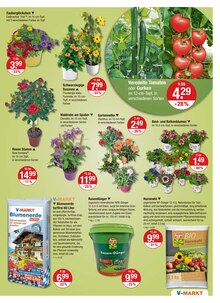 Pflanzen im V-Markt Prospekt "V-Markt einfach besser einkaufen" mit 25 Seiten (Augsburg)