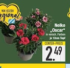 Nelke 'Oscar' im EDEKA Prospekt Nelke 'Oscar' im aktuellen EDEKA Prospekt für 2,49 €