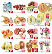 Aktueller Marktkauf Prospekt mit Pflanzen, "Aktuelle Angebote", Seite 5