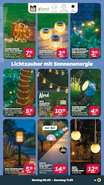Solarleuchten Angebot im aktuellen Netto mit dem Scottie Prospekt auf Seite 21