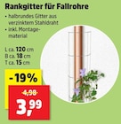 Rankgitter für Fallrohre im aktuellen Thomas Philipps Prospekt