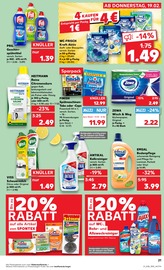 Steine im Kaufland Prospekt in Frankenthal Aktueller Kaufland Prospekt mit Steine, "Hier bin ich richtig", Seite 29