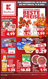 Kaufland Prospekt für Cottbus mit 70 Seiten