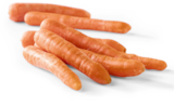 Netto Marken-Discount - Speisemöhren Angebot im Prospekt Speisemöhren bei Netto Marken-Discount im Prospekt "" für 1,79 €