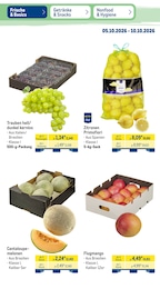 METRO Mango im Prospekt 