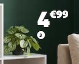 Gifi Sélestat - Promo PLANTE ARTIFICIELLE Promo PLANTE ARTIFICIELLE à 4,99 € dans le catalogue Gifi à Sélestat