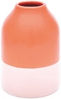 Vase zweifarbig im Rossmann Prospekt Vase zweifarbig von DEKOWELT im aktuellen Rossmann Prospekt für 4,79 €
