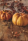 Promo Jack'o Lantern à 3,99 € dans le catalogue Supeco à Embrun