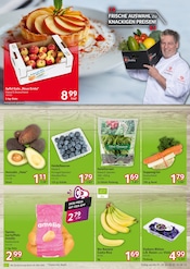 Bio im Selgros Prospekt in Willich Aktueller Selgros Prospekt mit Bio, "HIER KAUFEN PROFIS & GENIESSER", Seite 3