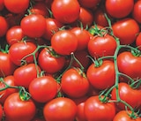 Supeco Louviers - Promo Tomate grappe Promo Tomate grappe à 1,99 € dans le catalogue Supeco à Louviers
