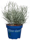 Silver-Land Mix im Angebot bei tegut in Leinfelden-Echterdingen Silver-Land Mix Angebote bei tegut Leinfelden-Echterdingen für 2,99 €