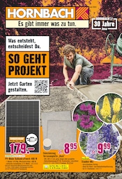 Ähnliche Angebote wie Plexiglas im Prospekt "Was entsteht, entscheidest Du." auf Seite 1 von Hornbach in Jena