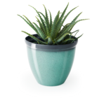 Aktuelle Blumentopf Angebote bei PEPCO in Magdeburg Aktuelles Übertopf Angebot bei PEPCO in Magdeburg ab 7,00 €