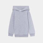 La Halle Meyzieu - Promo Sweat à capuche hoodie oversize gris clair garçon Promo Sweat à capuche hoodie oversize gris clair garçon à 6,99 € dans le catalogue La Halle à Meyzieu
