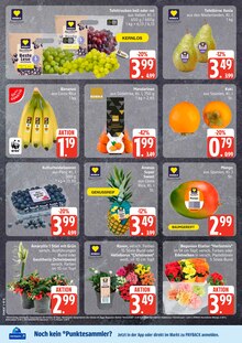 Blumen im EDEKA Prospekt "Top Angebote" mit 28 Seiten (Hamburg)