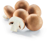 Aktuelles Champignon braun Angebot bei Netto Marken-Discount in Dresden ab 1,79 €