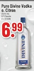Pure Divine Vodka o. Citron im Angebot bei Trinkgut in Gronau Pure Divine Vodka o. Citron Angebote bei Trinkgut Gronau für 6,99 €