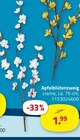 Aktuelles Apfelblütenzweig Angebot bei ROLLER in Berlin ab 1,99 €