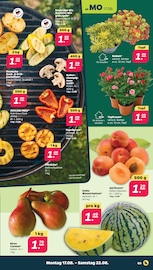 Paprika im Netto mit dem Scottie Prospekt in Neubrandenburg Aktueller Netto mit dem Scottie Prospekt mit Paprika, "Günstig. Besser. Für Dich.", Seite 3