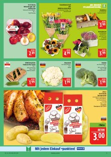 Handy im aktuellen Marktkauf Prospekt (Fürth) Handy im Marktkauf Prospekt "AUSWAHL RIESIG, PREISE NIEDRIG" mit 44 Seiten (Fürth)
