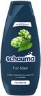 Kaufland Mittweida - Shampoo oder Spülung Angebot im Prospekt Shampoo oder Spülung bei Kaufland im Mittweida Prospekt für 1,49 €