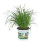 Vitalfutter für Kleintiere von GROW by OBI für 2,99 € bei OBI im Angebot Vitalfutter für Kleintiere von GROW by OBI im aktuellen OBI Prospekt