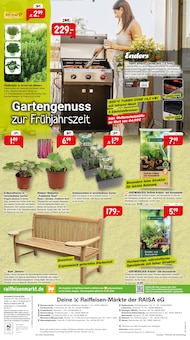 Erdbeerpflanzen im Raiffeisenmarkt Prospekt "So wird draußen zum Lieblingsort." mit 8 Seiten (Bremen)