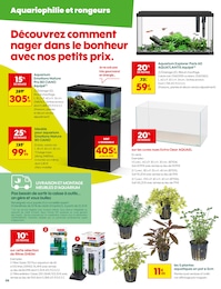 Offre Poisson dans le catalogue Truffaut du moment à la page 6