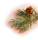 Aktuelle Sekt Angebote bei Penny in Erlangen Aktuelles Sekt Halbtrocken Angebot bei Penny in Erlangen ab 2,99 €