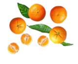 Angebot im Kaufland Hebertshausen Prospekt Kaufland Hebertshausen Prospekt mit  im Angebot für 3,99 €