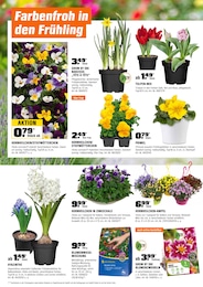OBI Pflanzerde im Prospekt 