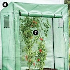 TOMATENREIFEHAUS Angebote bei Dehner Garten-Center Bonn für 1,99 €