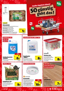 Laminat im Hagebaumarkt Prospekt "So günstig geht das!" mit 10 Seiten (Bremen)