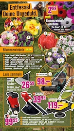 Aktueller Hornbach Prospekt mit Gartenwerkzeug, "Wir sagen Danke.", Seite 27