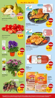 Blumen im Penny Prospekt "Wer günstig will, muss Penny." mit 44 Seiten (Mannheim)