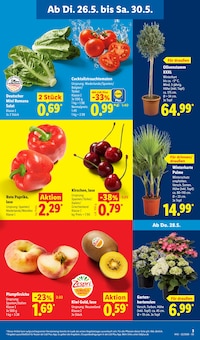 Gemüse im Lidl Prospekt "LIDL LOHNT SICH" mit 70 Seiten (Pforzheim)