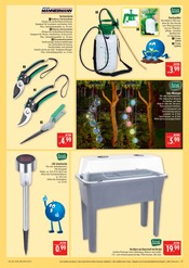 Aktueller Marktkauf Prospekt mit Solarlampe, "AUSWAHL RIESIG, PREISE NIEDRIG", Seite 45