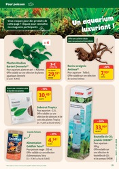 Promos Cuisine dans le catalogue "maxi zoo" de Maxi Zoo Cuisine en promo dans le catalogue Maxi Zoo à la page 15