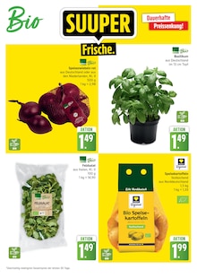 Pflanzen im EDEKA Prospekt "Top Angebote" mit 5 Seiten (Rostock)
